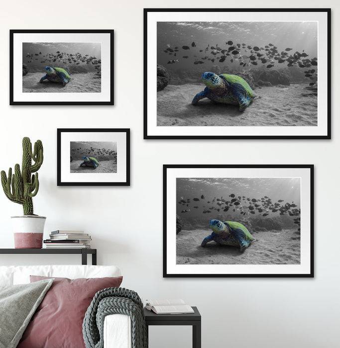 Pixxprint Schildkröte im Ozean, im Galerie-Passepartout Bilderrahmen Tiefpreis