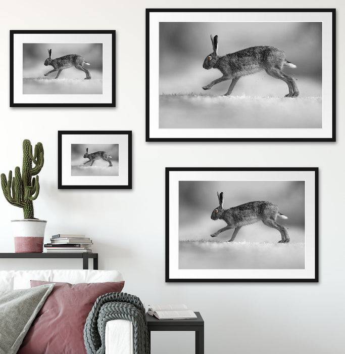 Pixxprint Springender Feldhase, im Galerie-Passepartout Bilderrahmen Wochenangebot
