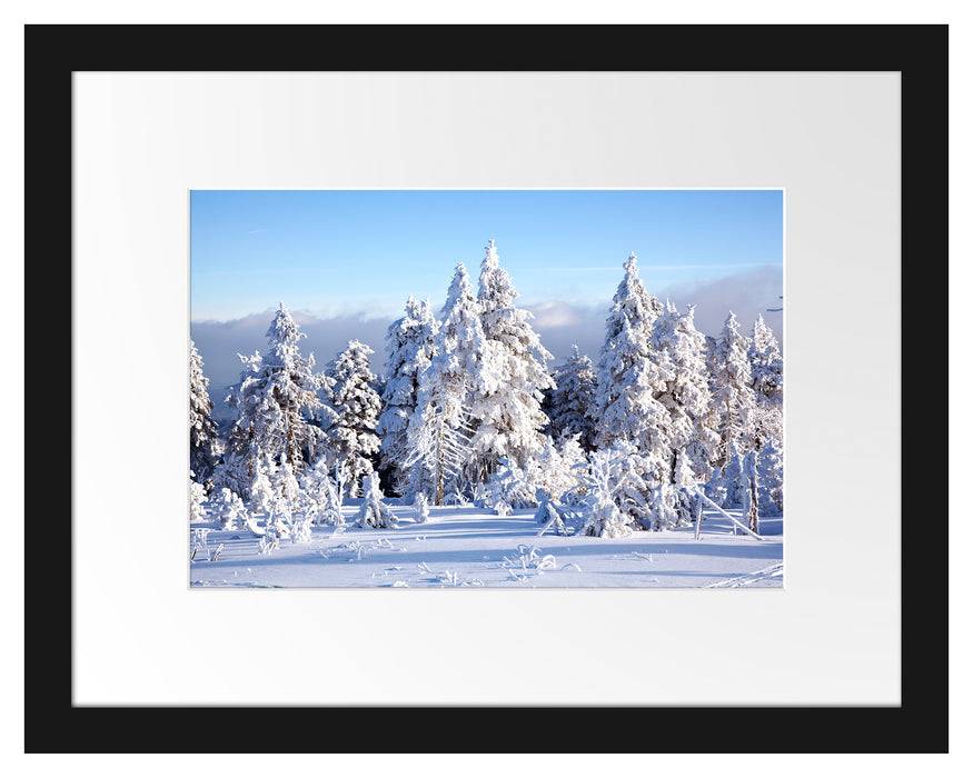 Pixxprint Winterwald, im Galerie-Passepartout Bilderrahmen Begrenzte Freigabe