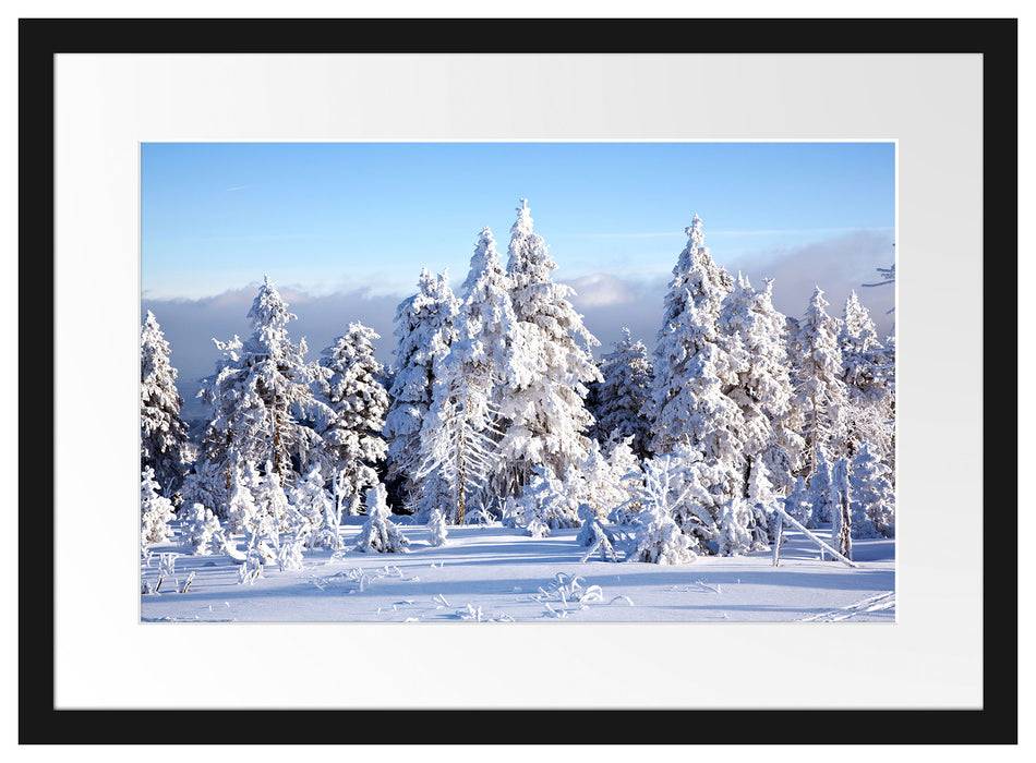 Pixxprint Winterwald, im Galerie-Passepartout Bilderrahmen Begrenzte Freigabe