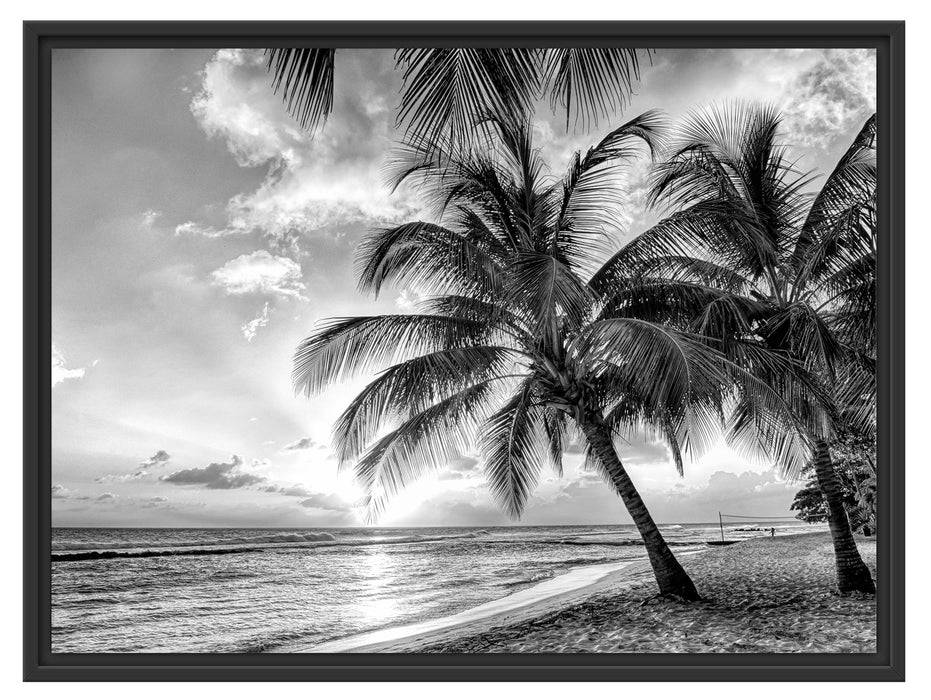 Pixxprint Palmen im Sonnenuntergang auf Barbados, Monochrome, im Schwebe-Effekt Bilderrahmen Bis zu 50% Rabatt