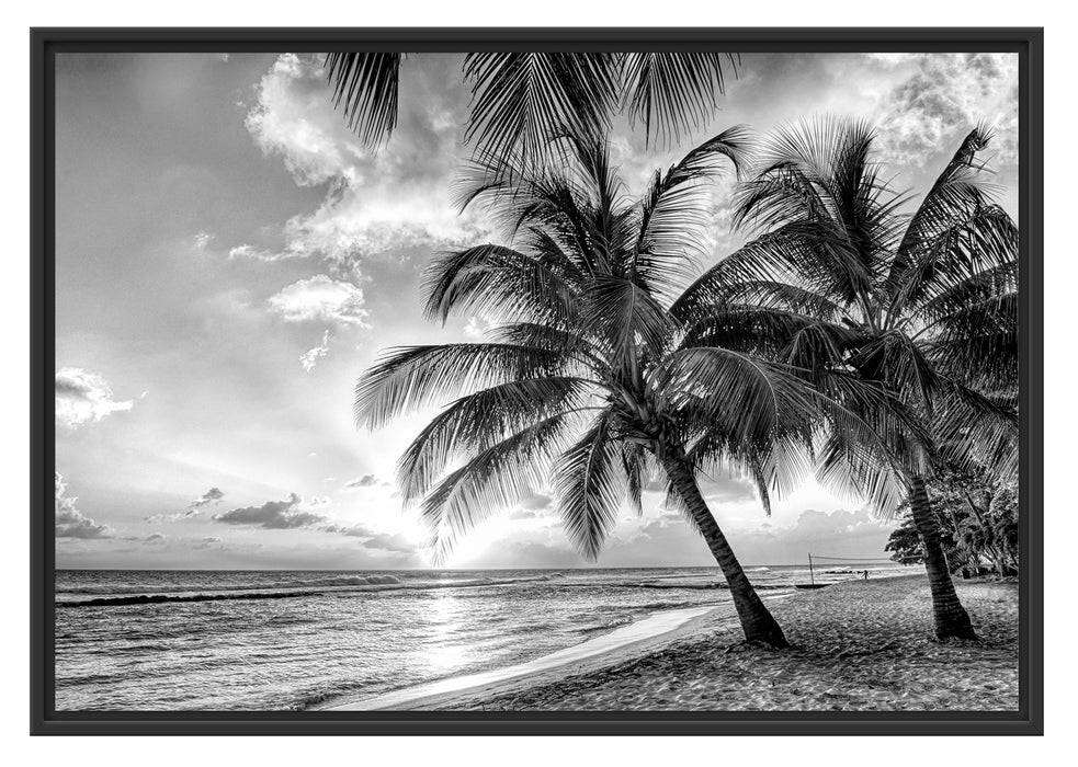 Pixxprint Palmen im Sonnenuntergang auf Barbados, Monochrome, im Schwebe-Effekt Bilderrahmen Bis zu 50% Rabatt