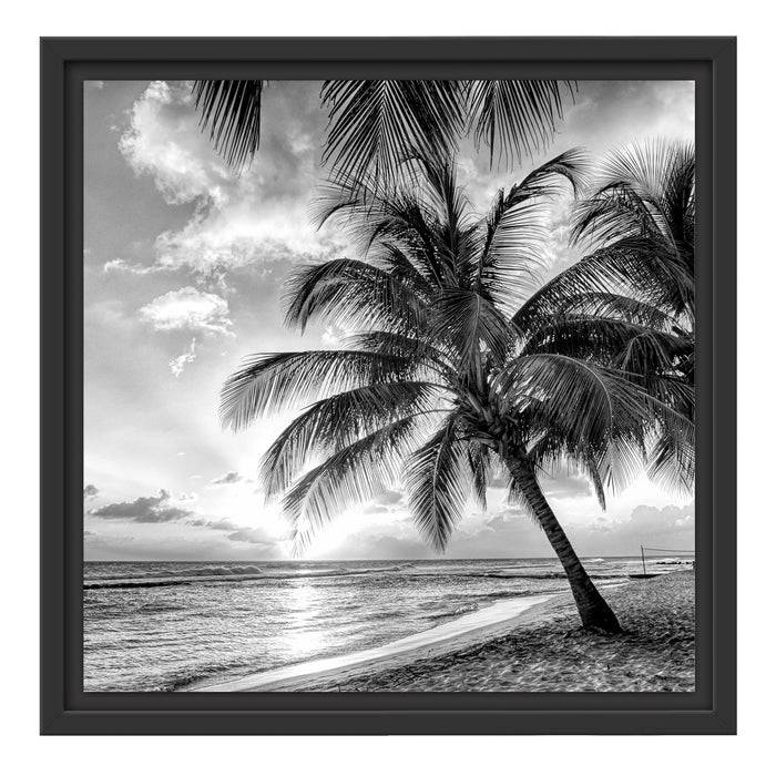 Pixxprint Palmen im Sonnenuntergang auf Barbados, Monochrome, im Schwebe-Effekt Bilderrahmen Bis zu 50% Rabatt