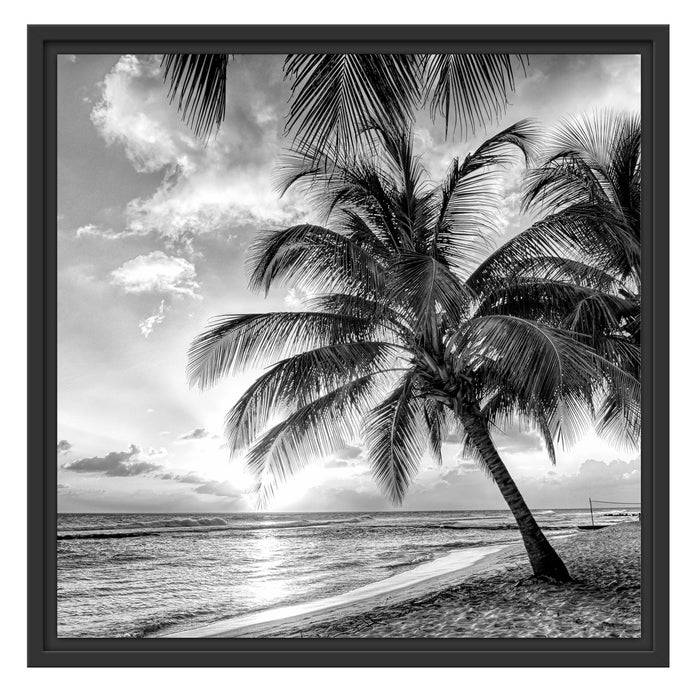 Pixxprint Palmen im Sonnenuntergang auf Barbados, Monochrome, im Schwebe-Effekt Bilderrahmen Bis zu 50% Rabatt