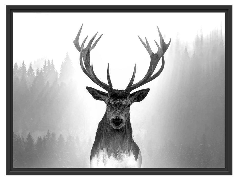 Pixxprint Nahaufnahme Hirsch im Nebelwald abstrakt, Monochrome, im Schwebe-Effekt Bilderrahmen Super Rabatt