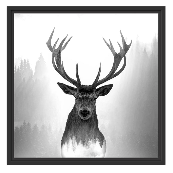 Pixxprint Nahaufnahme Hirsch im Nebelwald abstrakt, Monochrome, im Schwebe-Effekt Bilderrahmen Super Rabatt