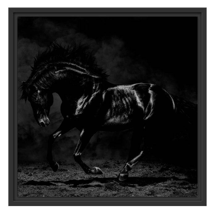 Pixxprint Edles galoppierendes schwarzes Pferd, Monochrome, im Schwebe-Effekt Bilderrahmen Clearance-Verkauf