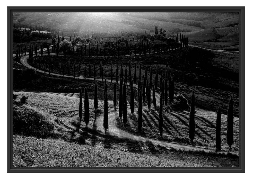 Pixxprint Straße in der Toskana im Sonnenuntergang, Monochrome, im Schwebe-Effekt Bilderrahmen 50% Rabatt für begrenzte Zeit