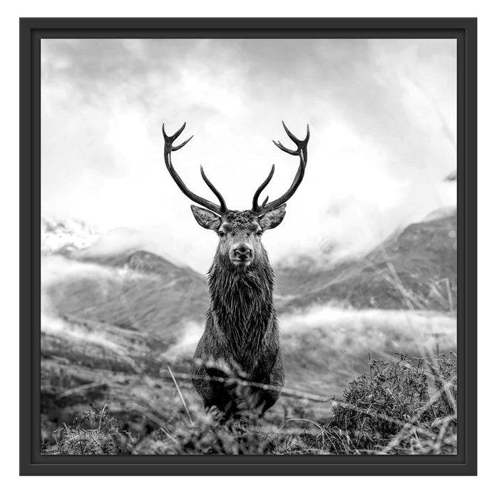 Pixxprint Majestätischer Hirsch in Berglandschaft, Monochrome, im Schwebe-Effekt Bilderrahmen Kostenloser Versand