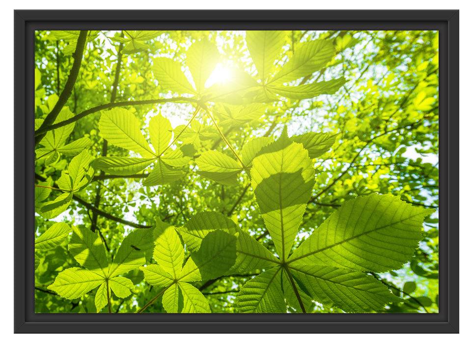 Pixxprint Grüne Bläter, im Schwebe-Effekt Bilderrahmen Versandkostenfrei