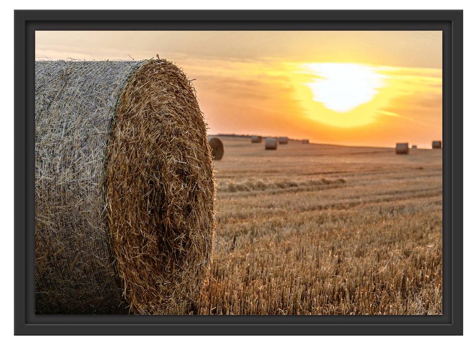 Pixxprint Strohballen auf Feld, im Schwebe-Effekt Bilderrahmen Begrenztes Angebot