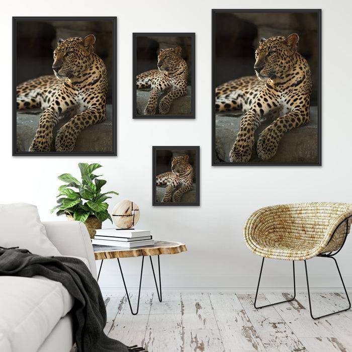 Pixxprint Majestäischer Leopard, im Schwebe-Effekt Bilderrahmen Osterangebot
