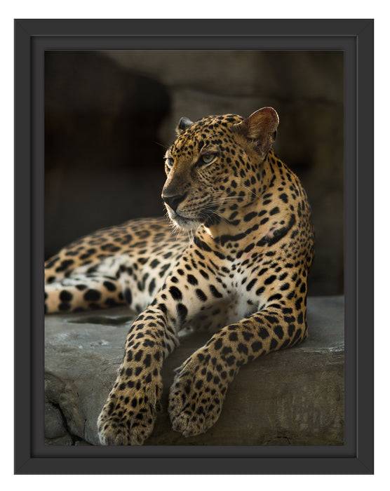 Pixxprint Majestäischer Leopard, im Schwebe-Effekt Bilderrahmen Osterangebot