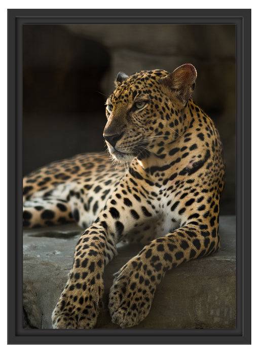 Pixxprint Majestäischer Leopard, im Schwebe-Effekt Bilderrahmen Osterangebot