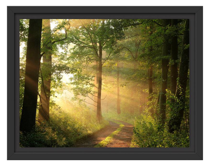Pixxprint Waldweg, im Schwebe-Effekt Bilderrahmen Muttertagsangebot