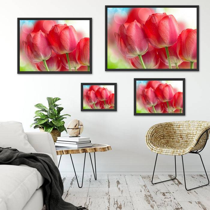Pixxprint Rote Tulpen, im Schwebe-Effekt Bilderrahmen Valentinstagsangebot