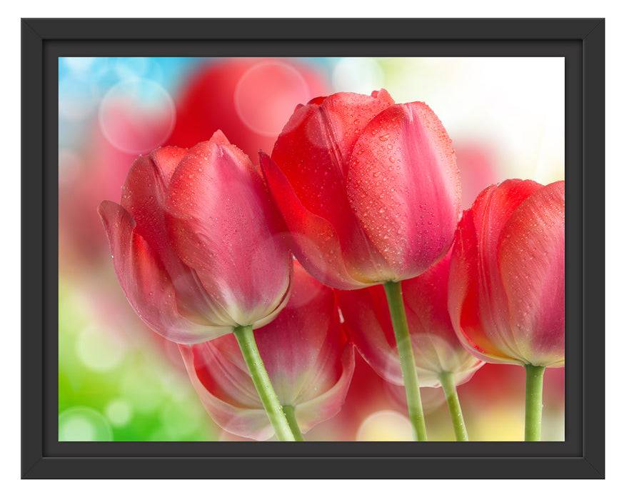 Pixxprint Rote Tulpen, im Schwebe-Effekt Bilderrahmen Valentinstagsangebot