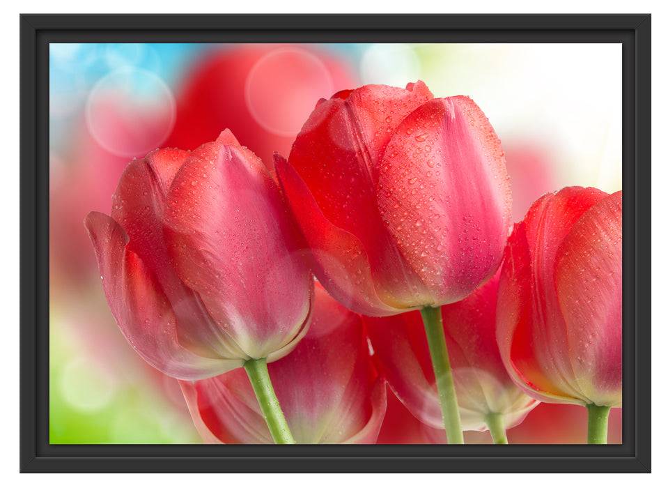 Pixxprint Rote Tulpen, im Schwebe-Effekt Bilderrahmen Valentinstagsangebot