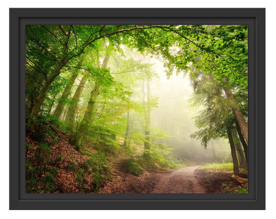 Pixxprint Sonnenstrahlen Waldweg, im Schwebe-Effekt Bilderrahmen Heißer Verkauf