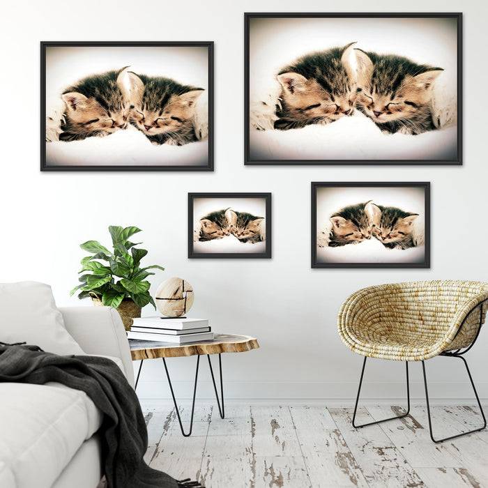 Pixxprint Katzen Herzform, im Schwebe-Effekt Bilderrahmen Online Outlet