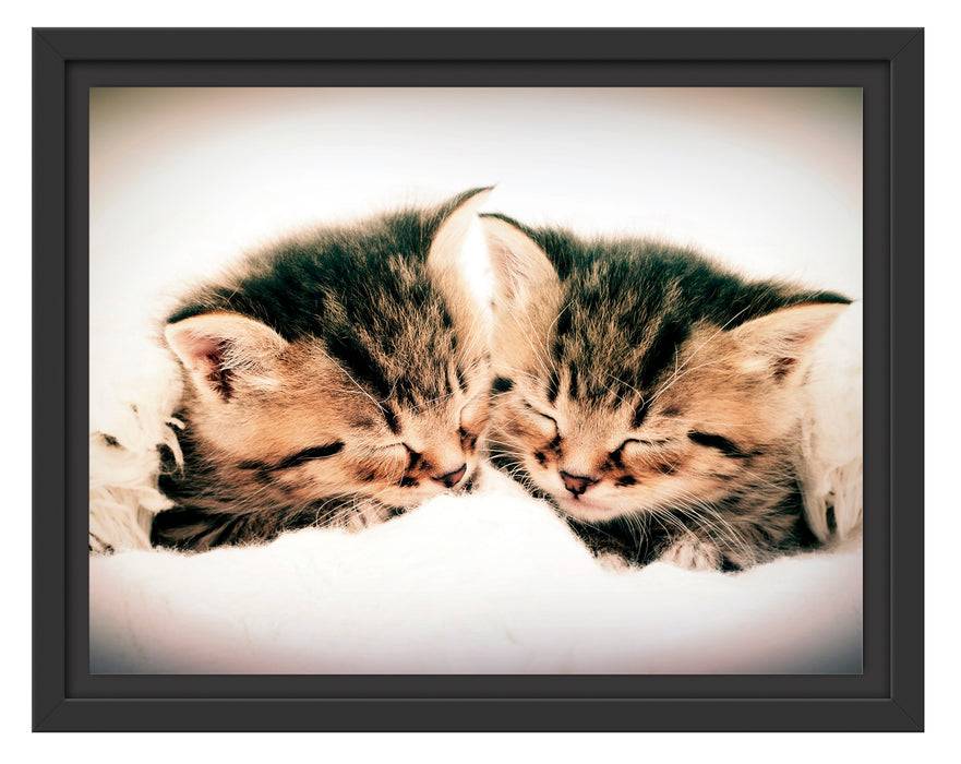 Pixxprint Katzen Herzform, im Schwebe-Effekt Bilderrahmen Online Outlet