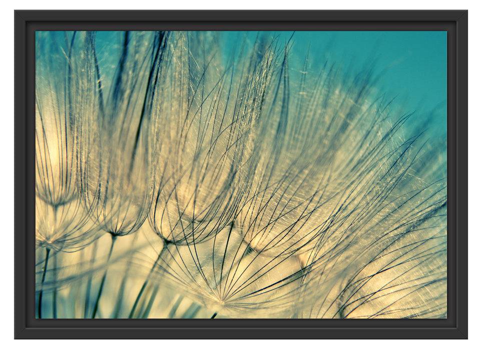 Pixxprint Pusteblumen, im Schwebe-Effekt Bilderrahmen Zeitlich begrenztes Angebot