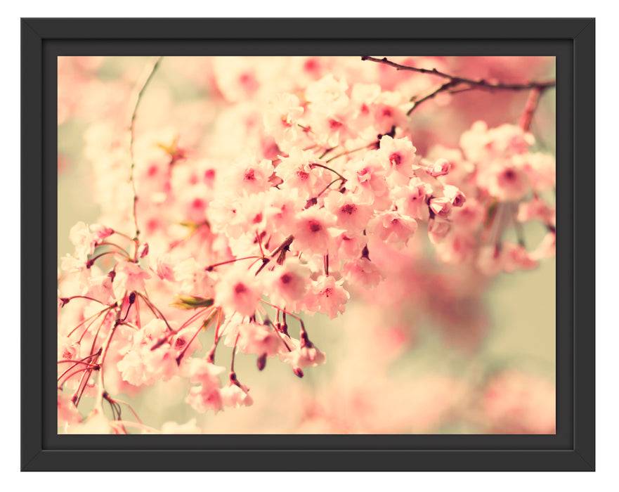 Pixxprint Kirschblüten, im Schwebe-Effekt Bilderrahmen Blitzangebot