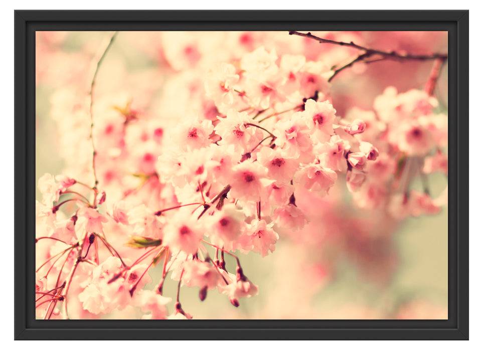 Pixxprint Kirschblüten, im Schwebe-Effekt Bilderrahmen Blitzangebot
