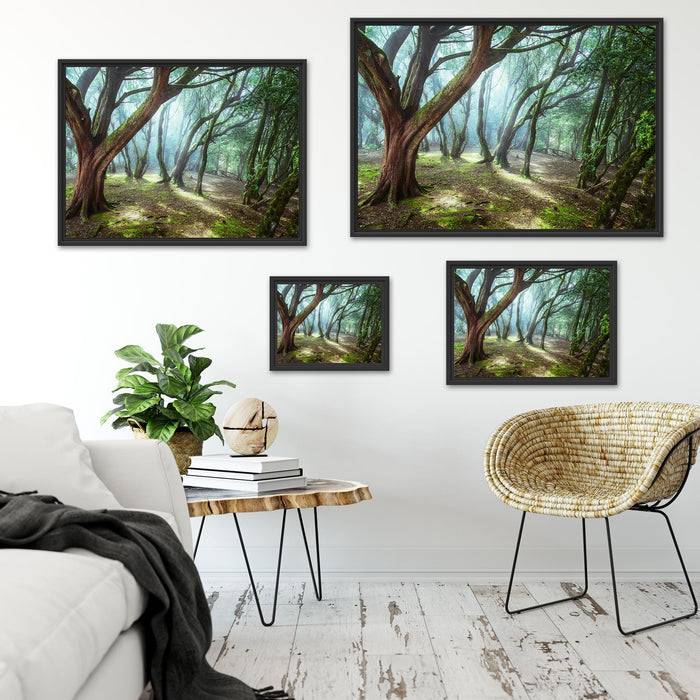 Pixxprint Wald, im Schwebe-Effekt Bilderrahmen Kauf eins, bekomm eins gratis