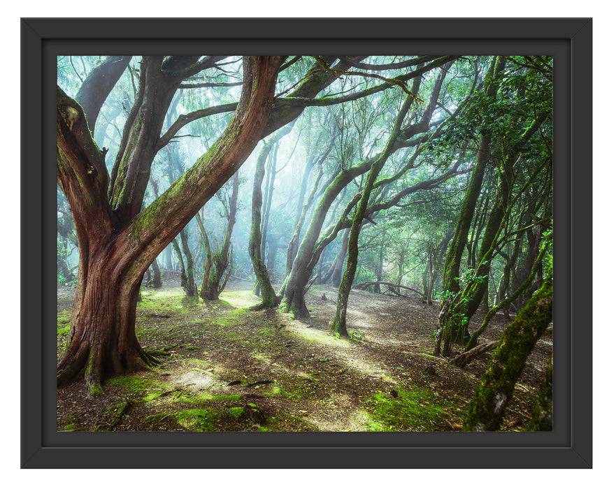 Pixxprint Wald, im Schwebe-Effekt Bilderrahmen Kauf eins, bekomm eins gratis