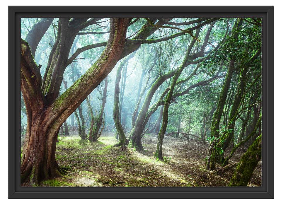 Pixxprint Wald, im Schwebe-Effekt Bilderrahmen Kauf eins, bekomm eins gratis