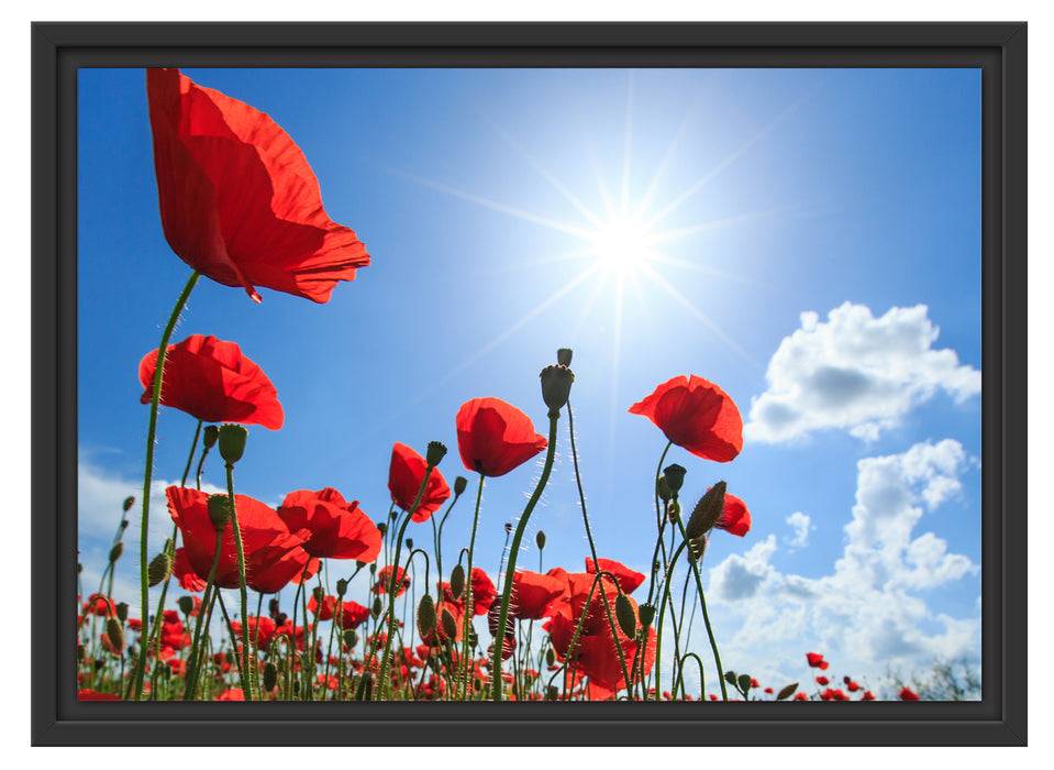 Pixxprint Mohnblumen, im Schwebe-Effekt Bilderrahmen Kostenlose Rückgabe