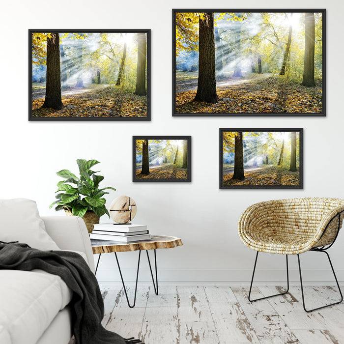 Pixxprint Sonnenstrahlen im Wald, im Schwebe-Effekt Bilderrahmen Neueste Stile
