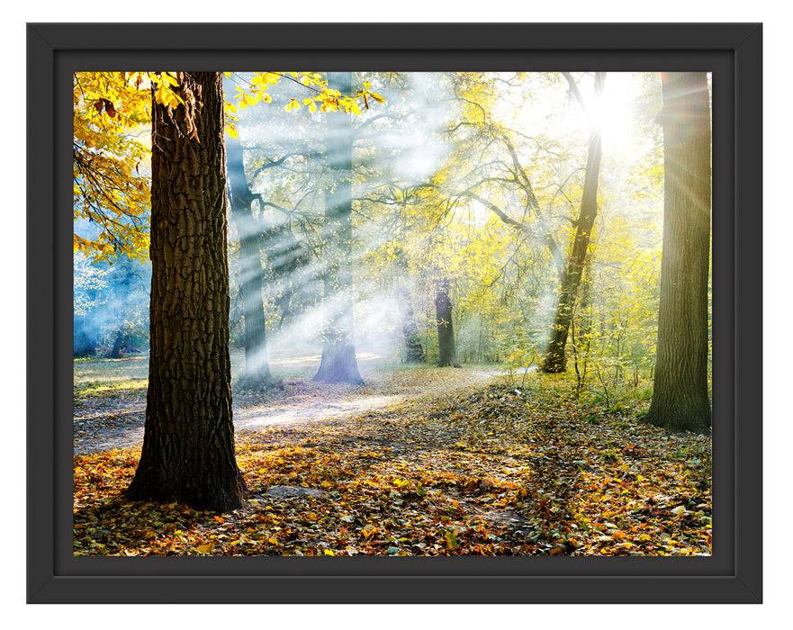Pixxprint Sonnenstrahlen im Wald, im Schwebe-Effekt Bilderrahmen Neueste Stile