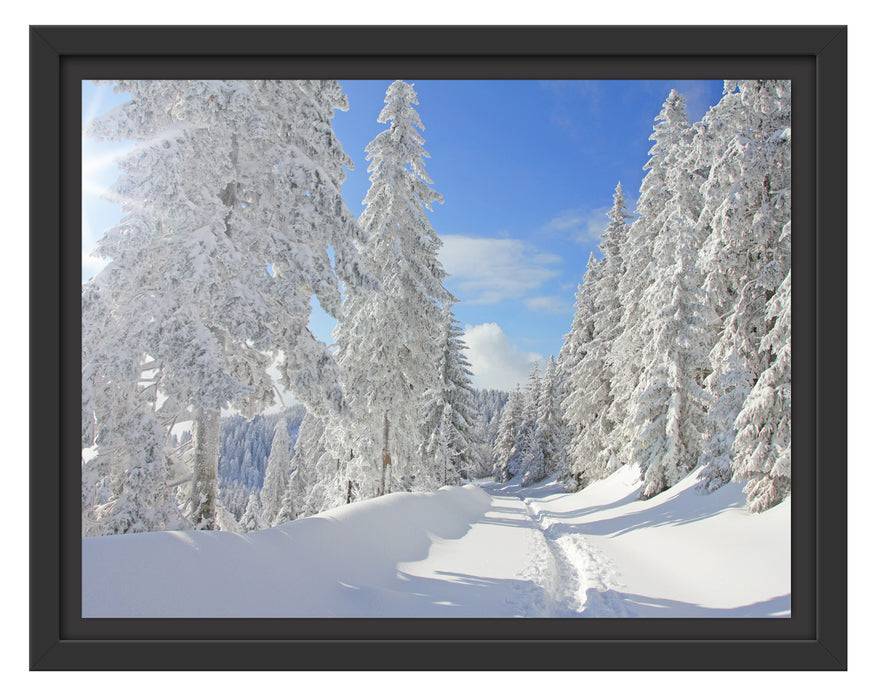 Pixxprint Winterlandschaft Bäume, im Schwebe-Effekt Bilderrahmen Letzter Tag