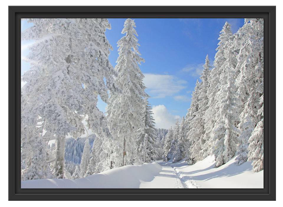 Pixxprint Winterlandschaft Bäume, im Schwebe-Effekt Bilderrahmen Letzter Tag