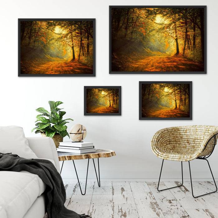 Pixxprint Wald Landschaft, im Schwebe-Effekt Bilderrahmen Zeitbegrenzte Promotion