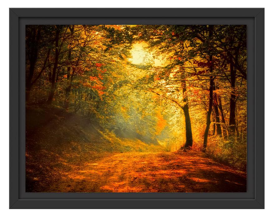 Pixxprint Wald Landschaft, im Schwebe-Effekt Bilderrahmen Zeitbegrenzte Promotion