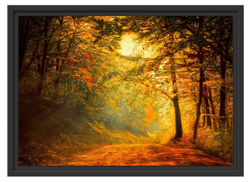 Pixxprint Wald Landschaft, im Schwebe-Effekt Bilderrahmen Zeitbegrenzte Promotion