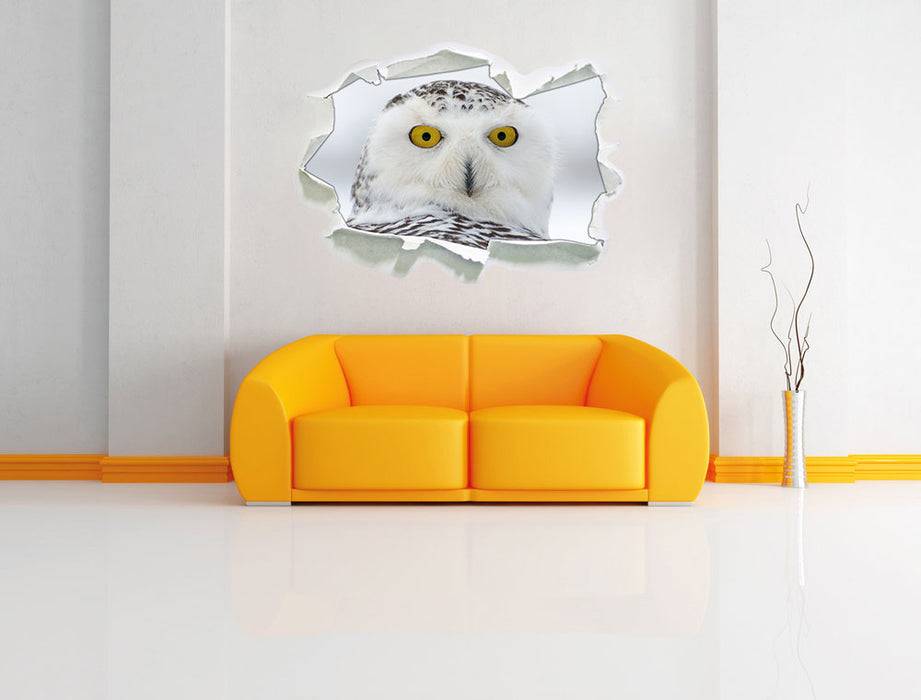 Pixxprint Wachsame Schnee Eule, 3D Wandtattoo Sonderangebot der Fabrik
