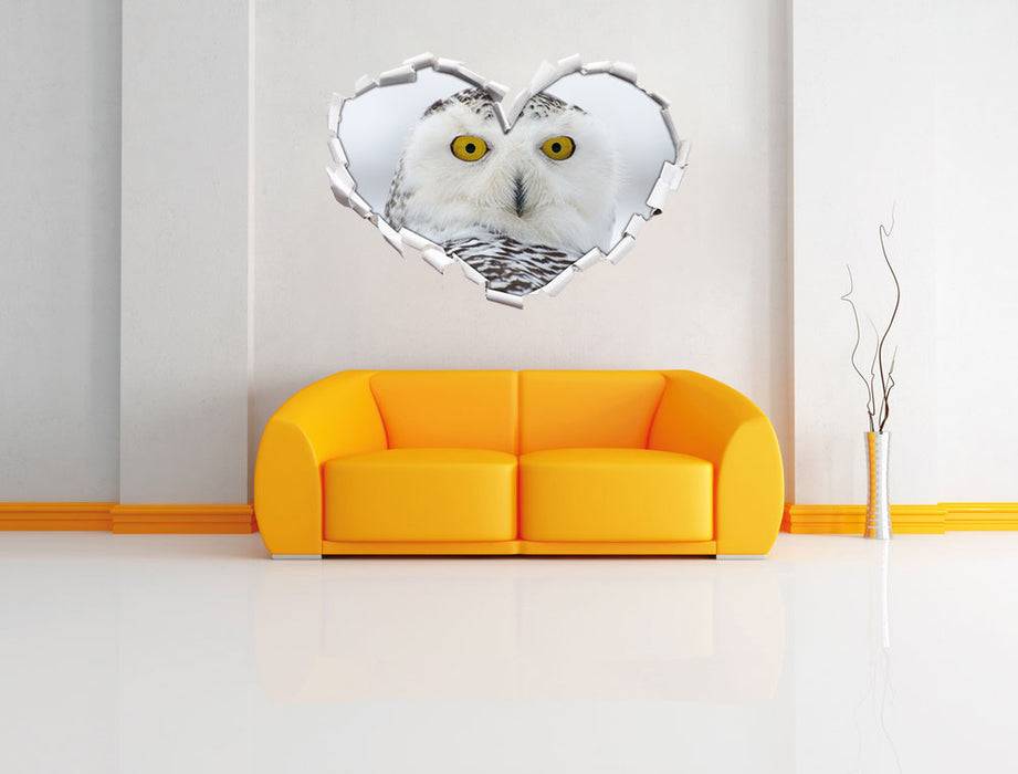 Pixxprint Wachsame Schnee Eule, 3D Wandtattoo Sonderangebot der Fabrik