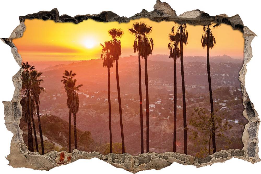 Pixxprint Blick auf Hollywood, 3D Wandtattoo