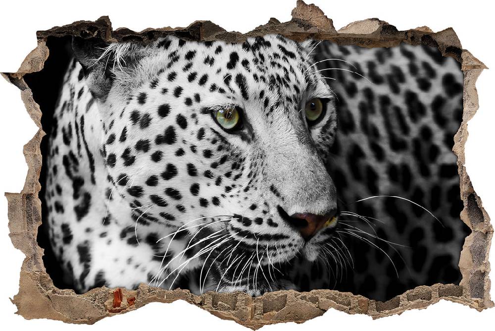 Pixxprint Stolzer Leopard, 3D Wandtattoo Black Friday Preise