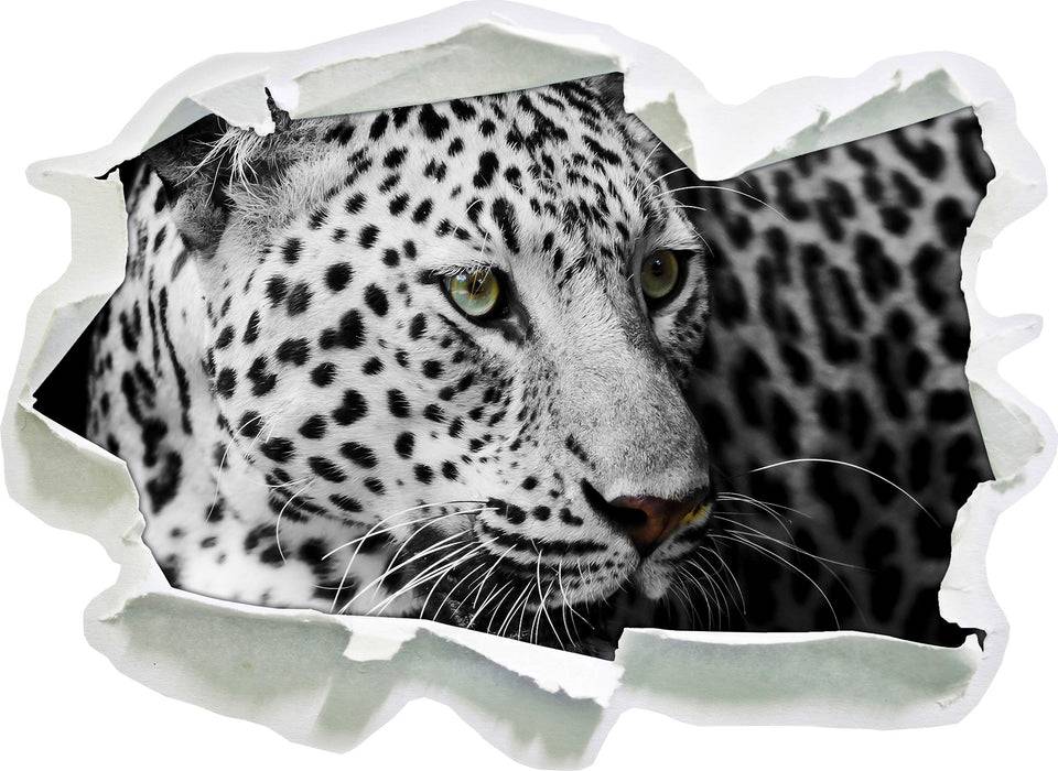 Pixxprint Stolzer Leopard, 3D Wandtattoo Black Friday Preise
