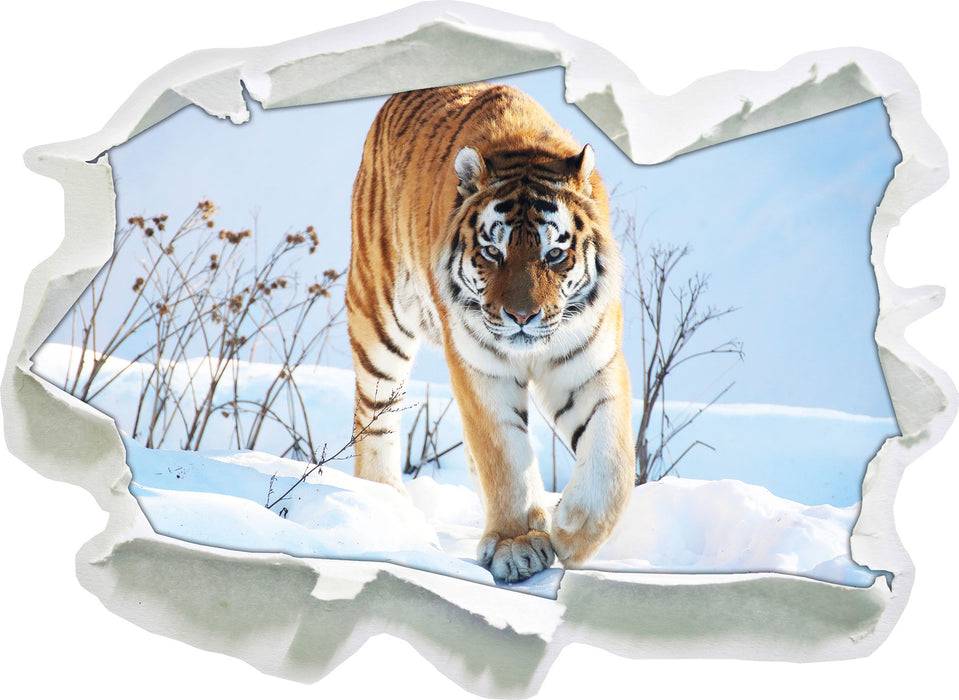 Pixxprint Stolzer Tiger im Schnee, 3D Wandtattoo Im Verkauf