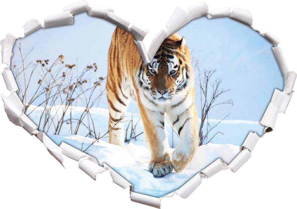 Pixxprint Stolzer Tiger im Schnee, 3D Wandtattoo Im Verkauf