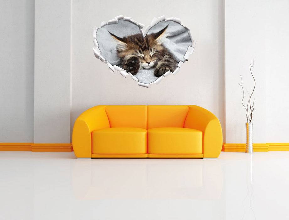 Pixxprint Kleines süßes Kätzchen, 3D Wandtattoo zollfrei