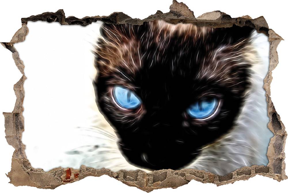 Pixxprint Schwarze elegante Katze, 3D Wandtattoo