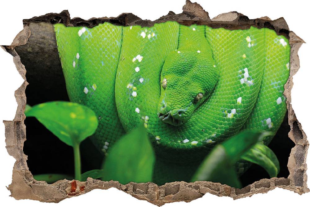Pixxprint Grüne elegante Schlange, 3D Wandtattoo