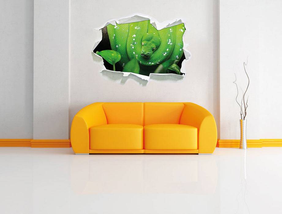 Pixxprint Grüne elegante Schlange, 3D Wandtattoo Outlet